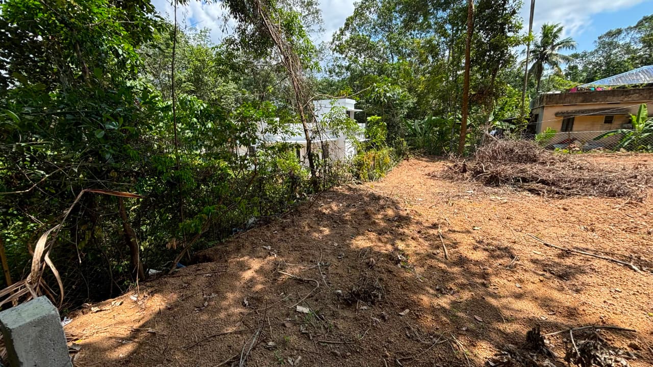 Plot / Land in Anad — photo 4