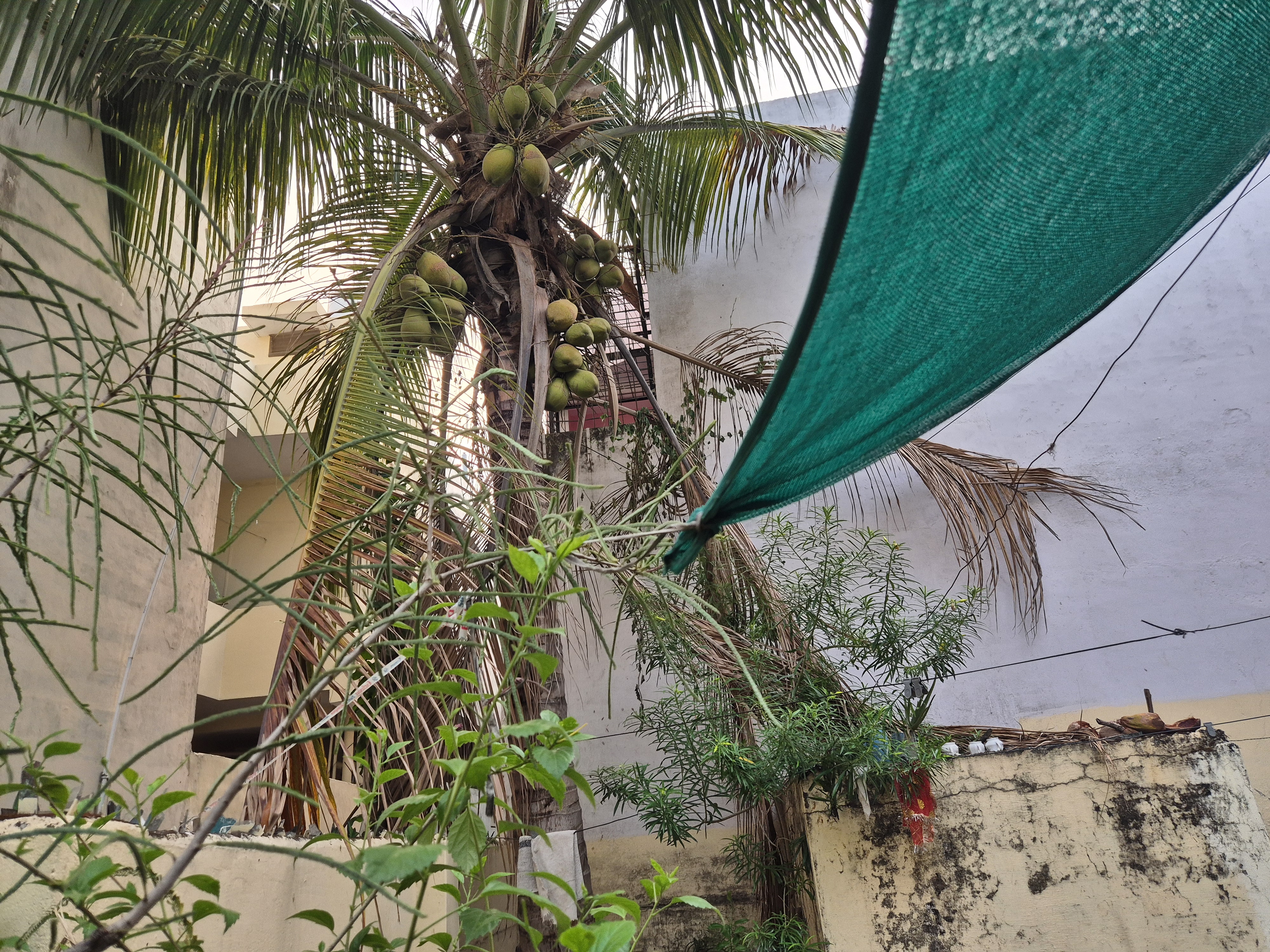 Residential House / Villa in Jabalpur — photo 4