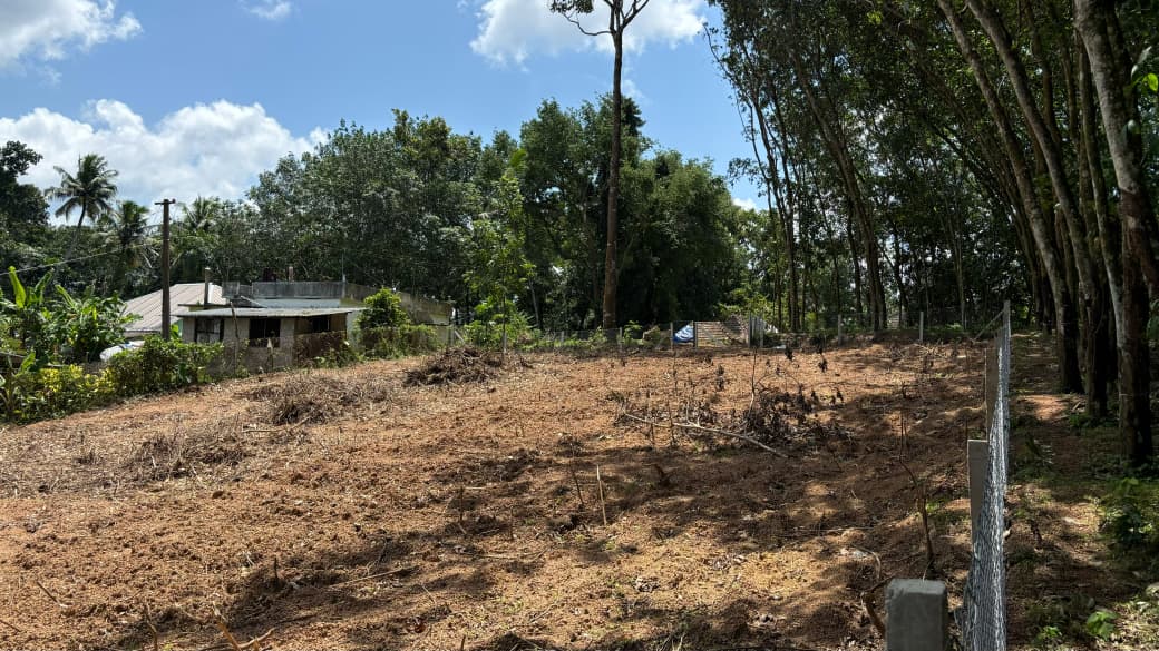 Plot / Land in Anad — photo 2